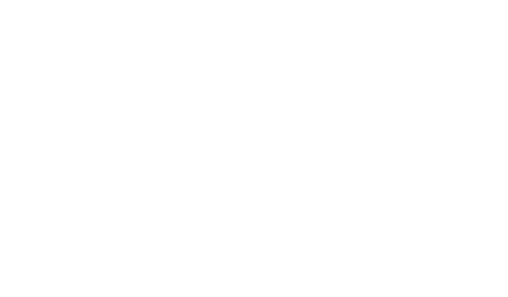 PmeBizDev.Ch